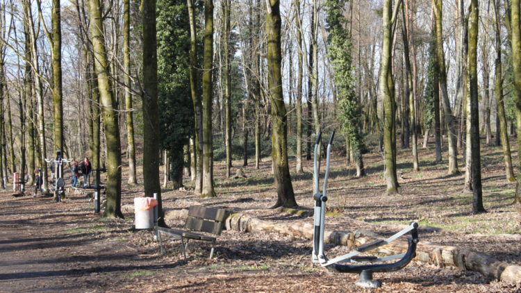 Décharges des Mangettes : «Fortes pollutions des sols détectées ! »